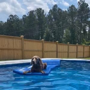 Meet your Posher, Crystal